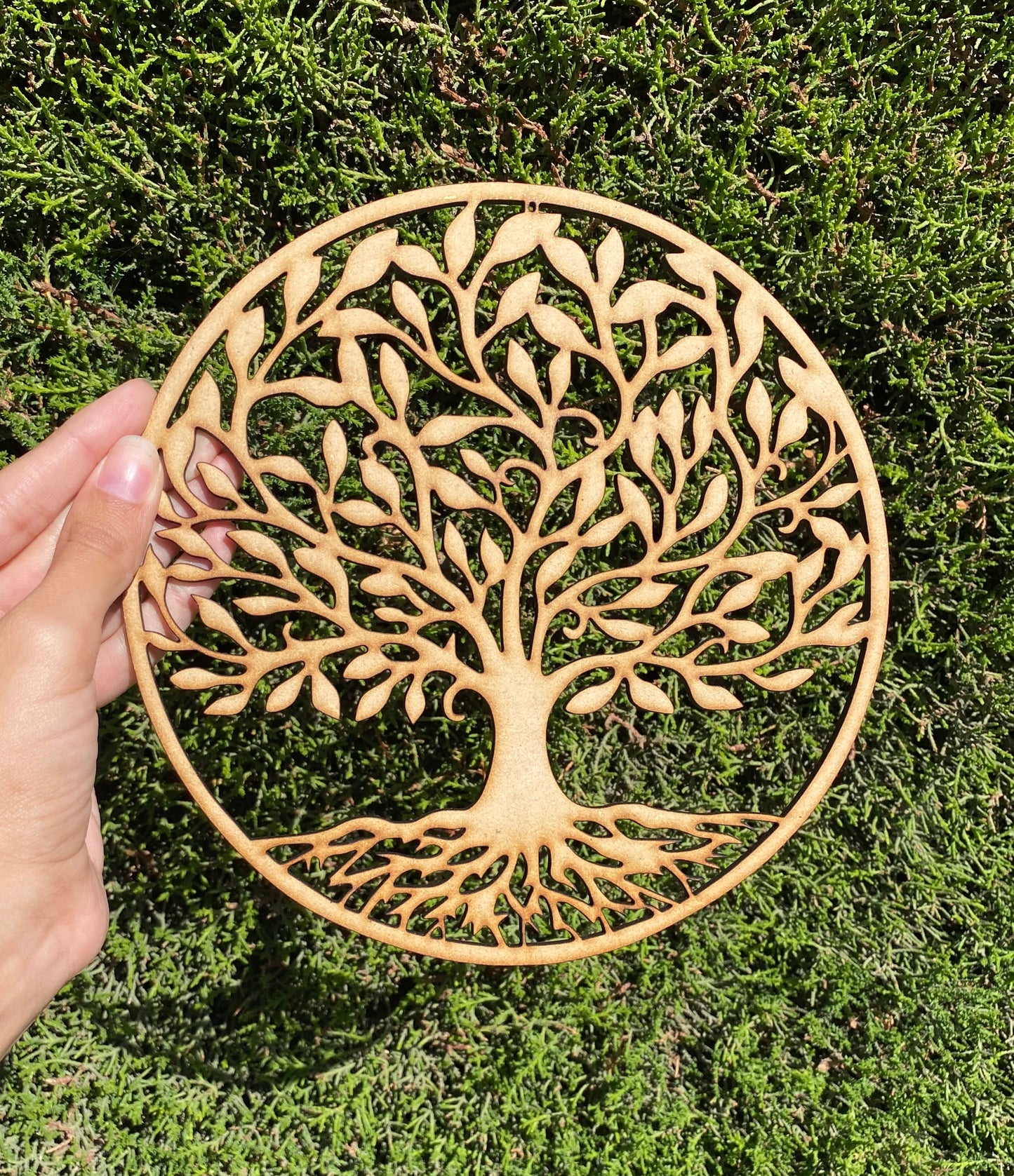 Pack 6 Árbol de la Vida 20cm