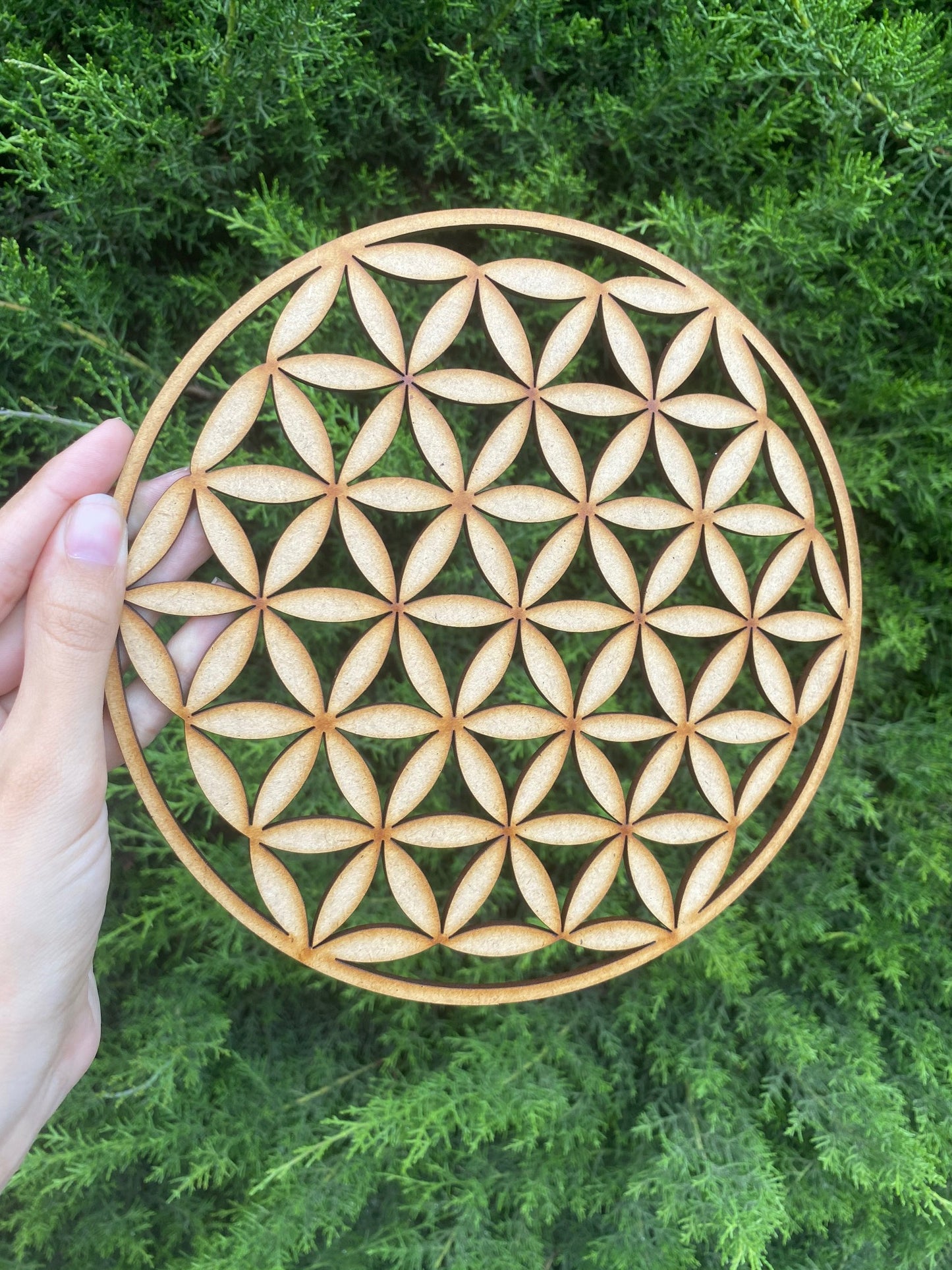 Pack 12 Mandalas Circulares 20cm
