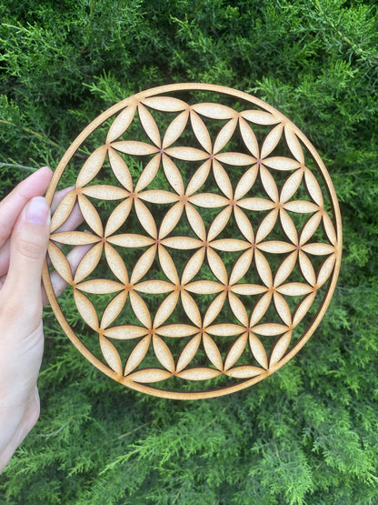 Pack 12 Mandalas Circulares 20cm
